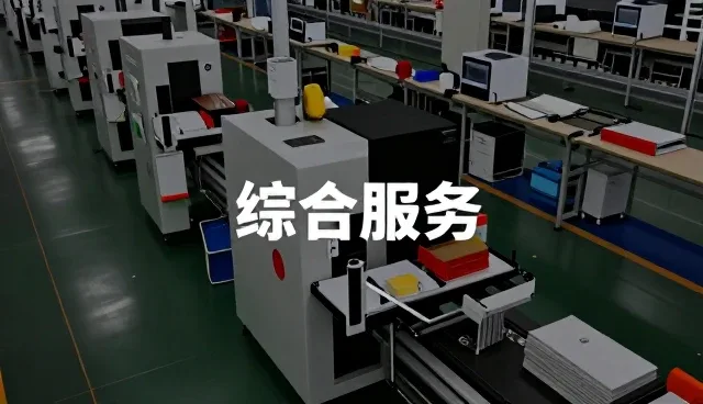 定制化系统开发